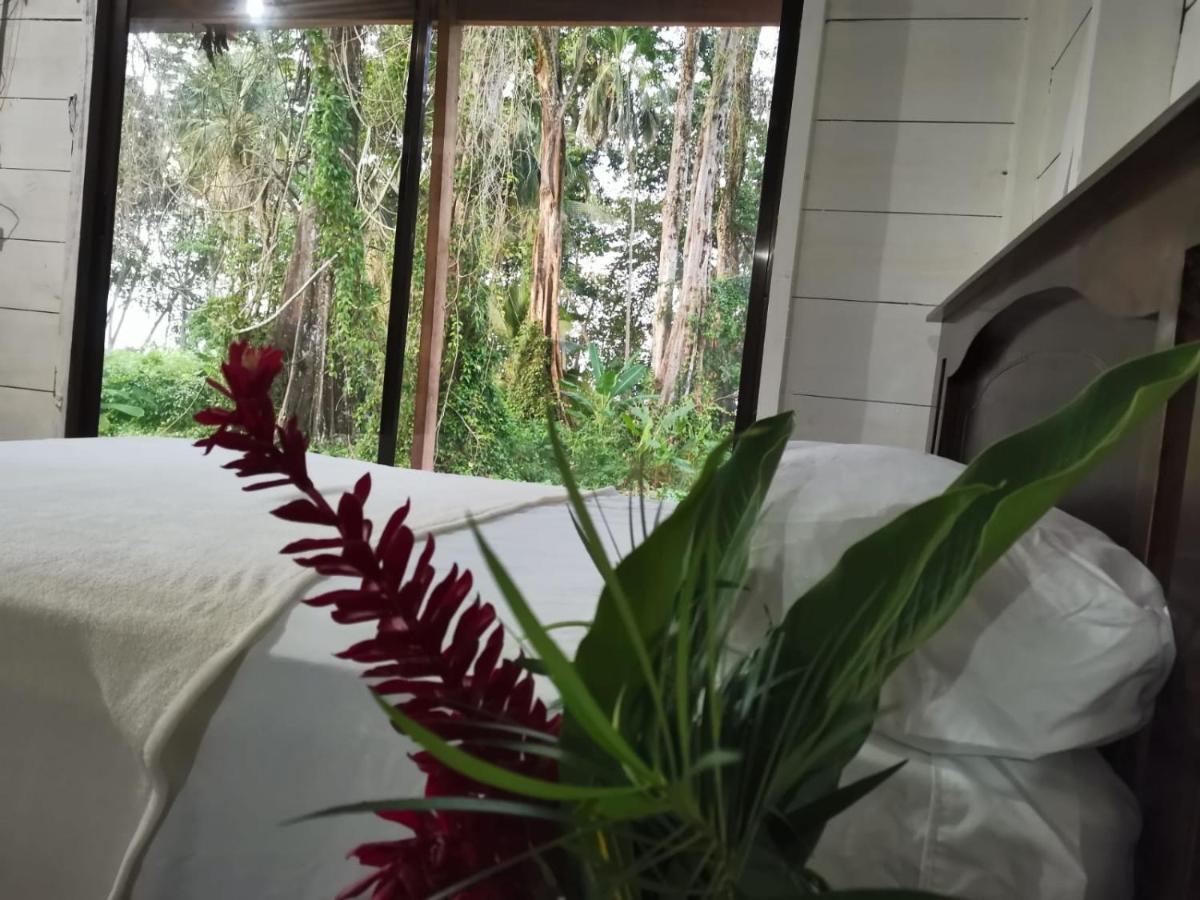 Hostal Cecilia Puerto Viejo de Talamanca Exterior foto