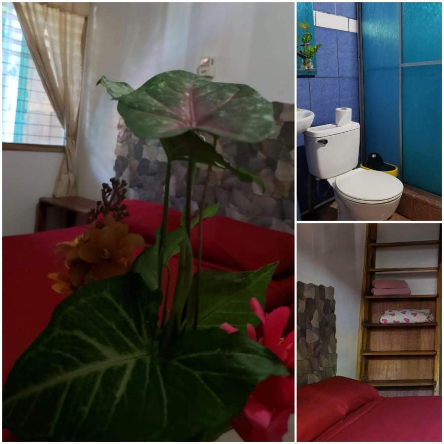Hostal Cecilia Puerto Viejo de Talamanca Exterior foto